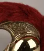 French Carabinier de la Garde Enlisted Helmet Visuel 5